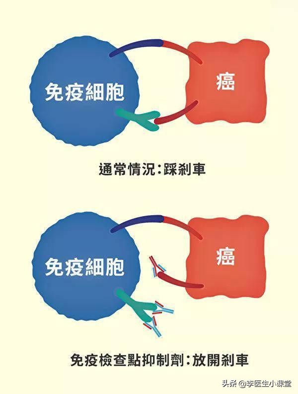 什么是免疫治癌,什么是癌症免疫治疗和生物治疗