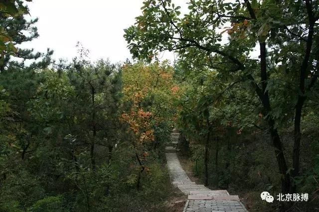 北京国家森林公园风景,画说北京故事