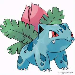 妙蛙种子不开花,妙蛙种子秘籍