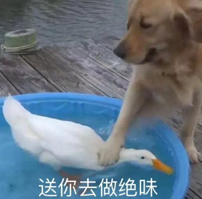 在实体店买的衣服比网店贵咋办,怎么在网上买到与实体店同款衣服