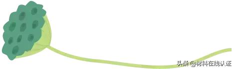 植物窗帘效果图大全,植物窗帘图案