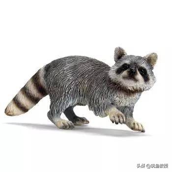 这些东西跑到外面去居然会引起生态危机!