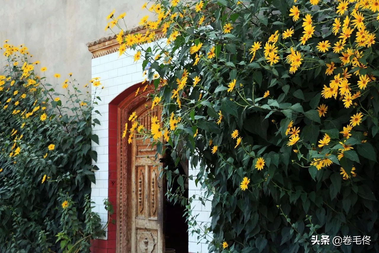 不到喀什就没到过南疆景点在哪里,喀什出发南北疆大环线自驾游攻略