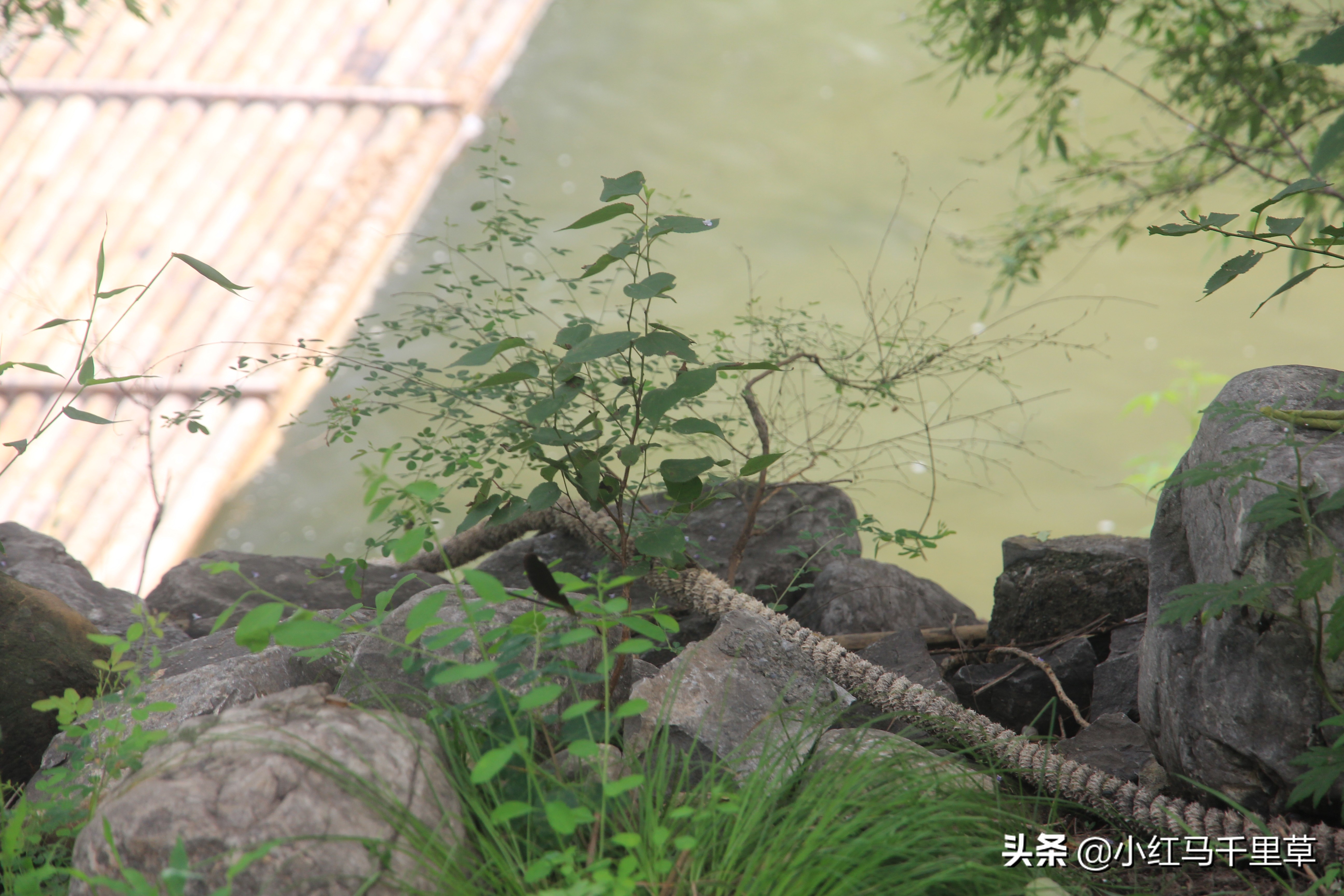 焦作云台山徒步攻略,河南云台山之旅