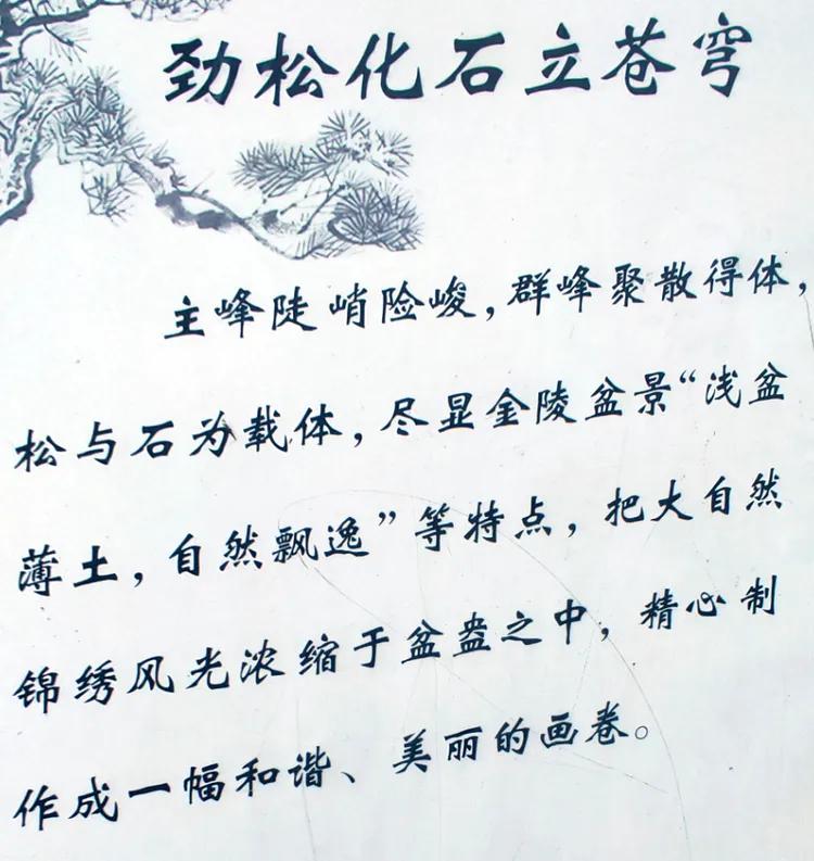 曾作为禁地，与外界隔绝二百六十多年的“玄武湖”，今日锣鼓喧天