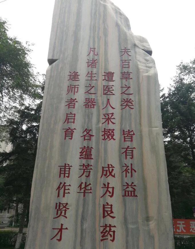 黑龙江中医药大学第二附属医院,黑龙江中医药大学研究生录取分数