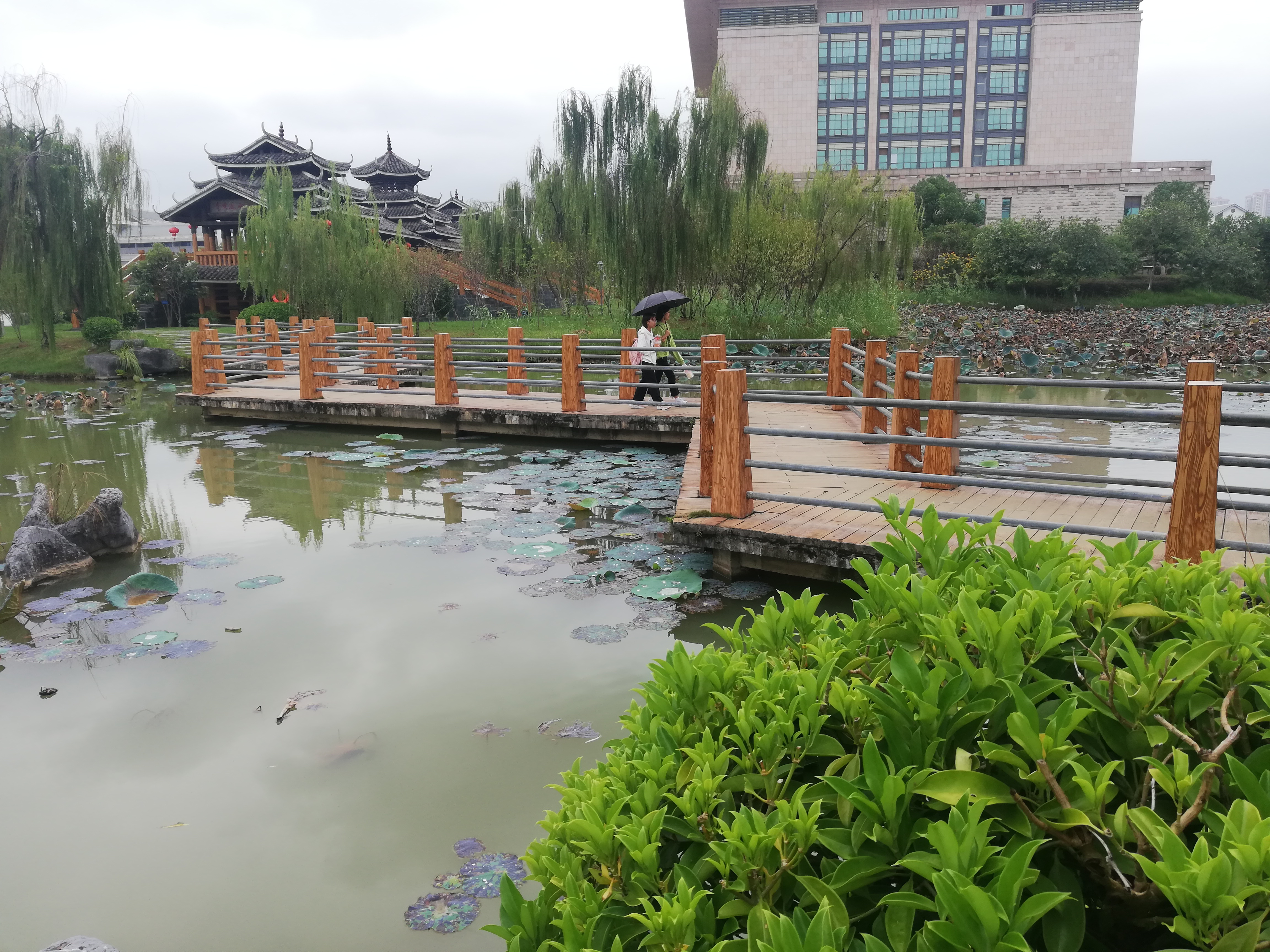 南宁不孤湖景区导览图,广西南宁必去十大景点不要钱的