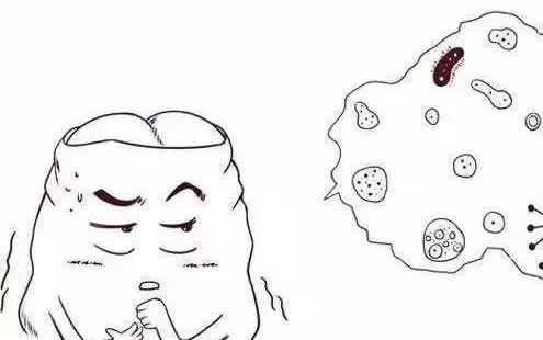 尖锐性湿疣用鬼臼毒素酊,鬼臼毒素酊可以用于丝状疣吗