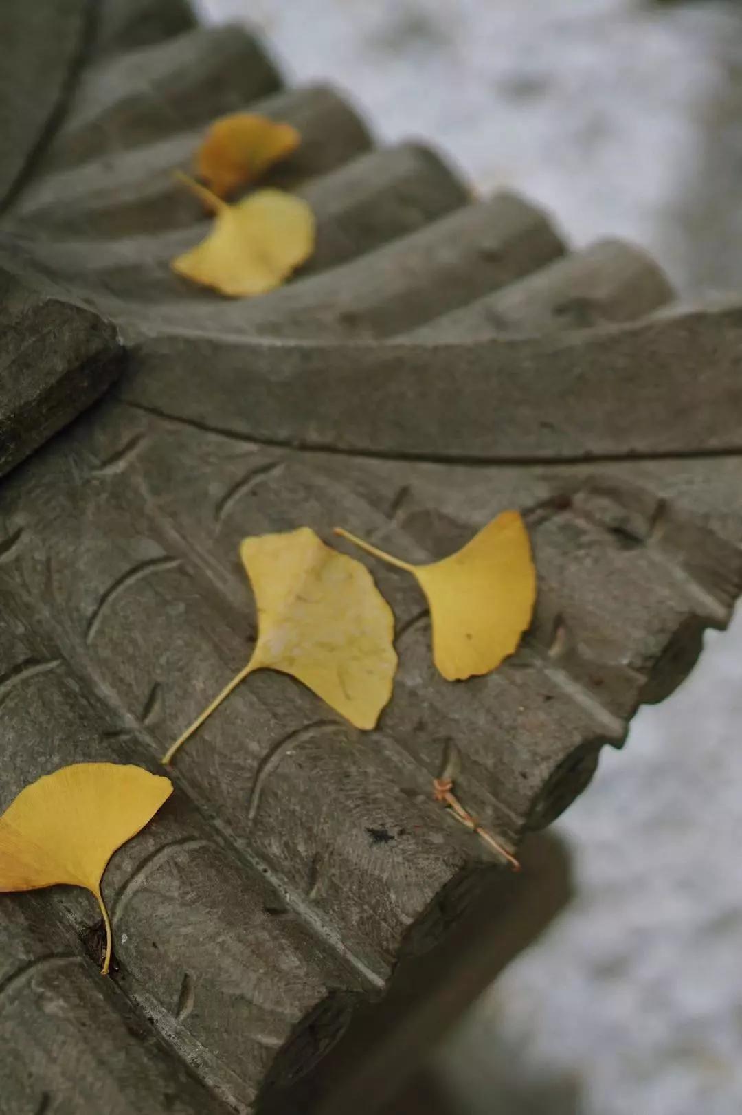 汉服体验打卡,免费体验汉服