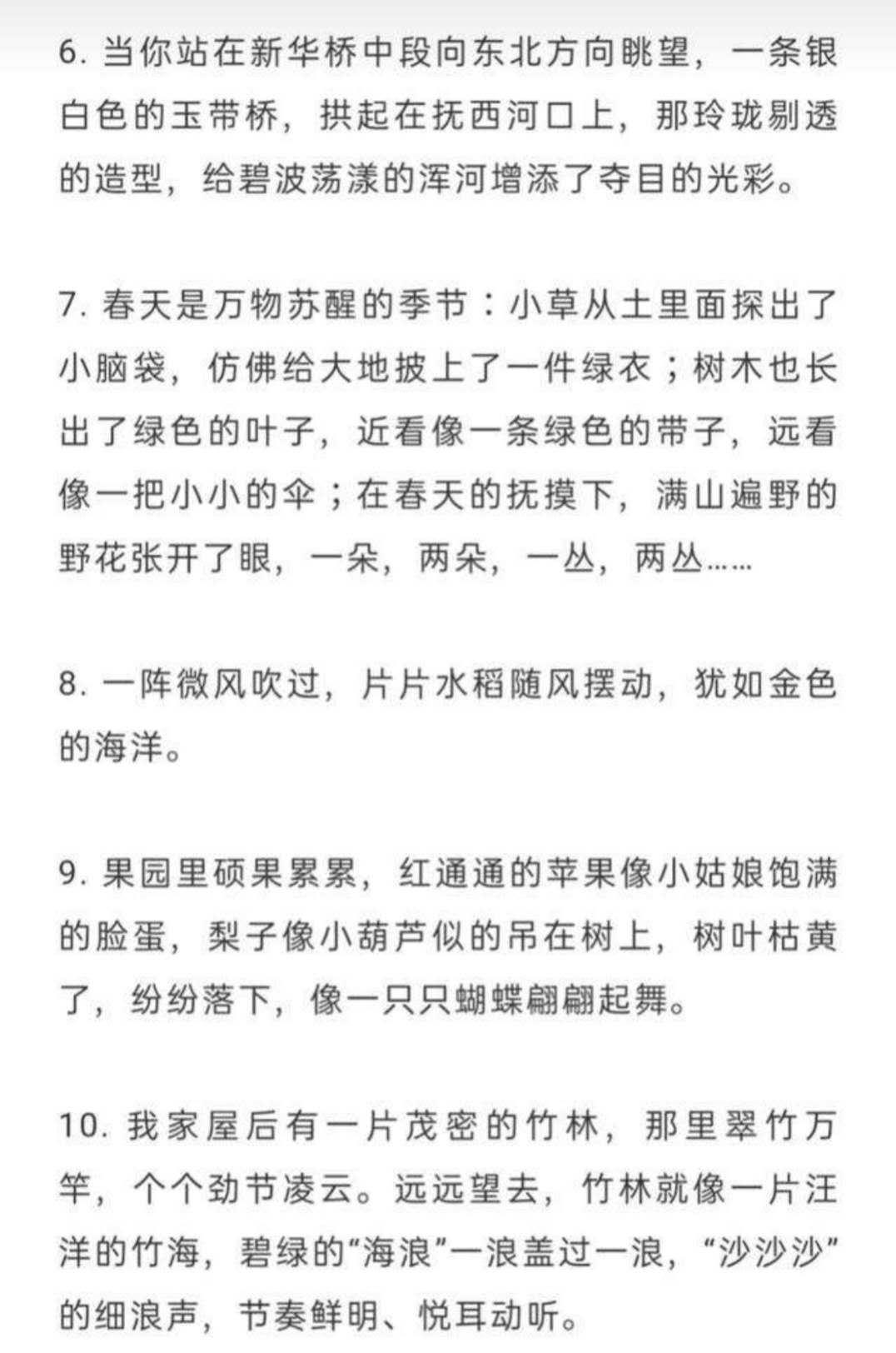 考试前语文应复习哪些基础知识，有以下几点