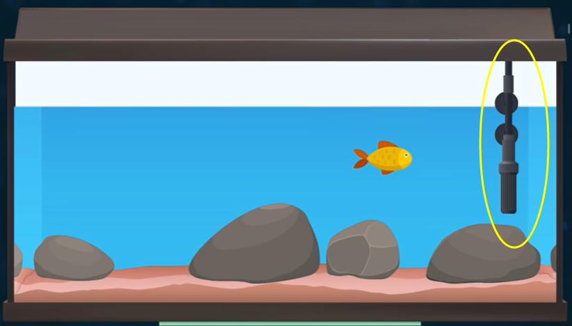 金鱼养多了怎么处理,金鱼养得越来越瘦