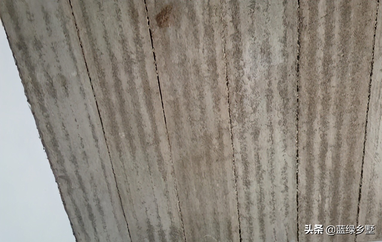 日本农村房屋基础防潮做法,自建房基础防潮做法