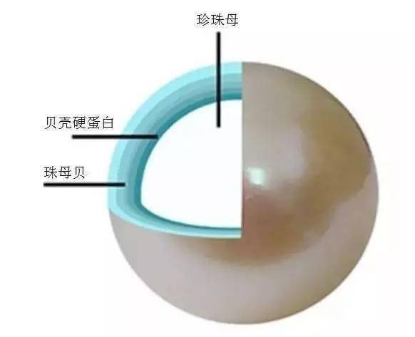 珍珠为什么脱皮有洞,珍珠表面有白斑是真的吗