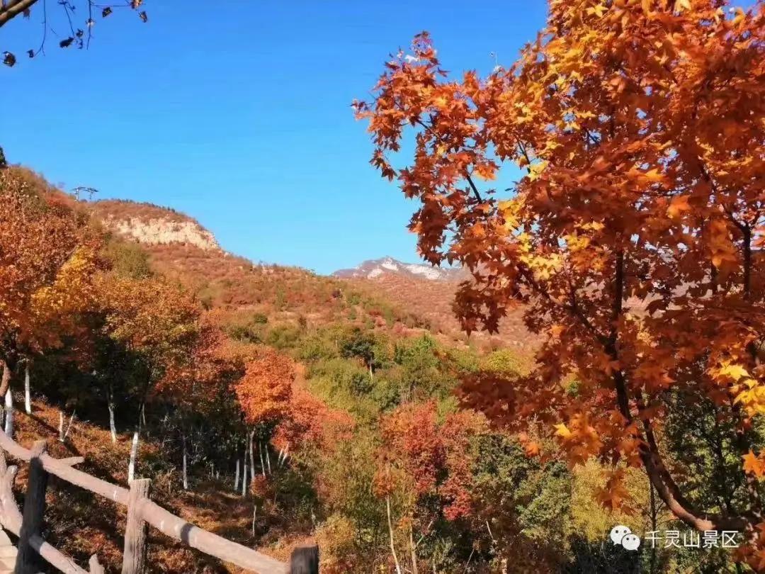 创森进行时丨立冬后，我把丰台的秋，收进了相册里