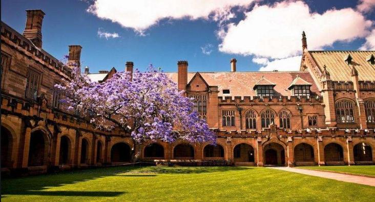 新加坡留学生在伦敦街头被暴打,新加坡留学生在伦敦被暴打事件