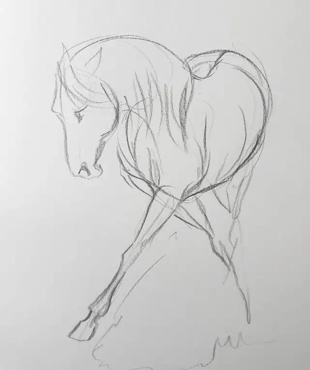 速写简笔画马,画速写不需要临摹