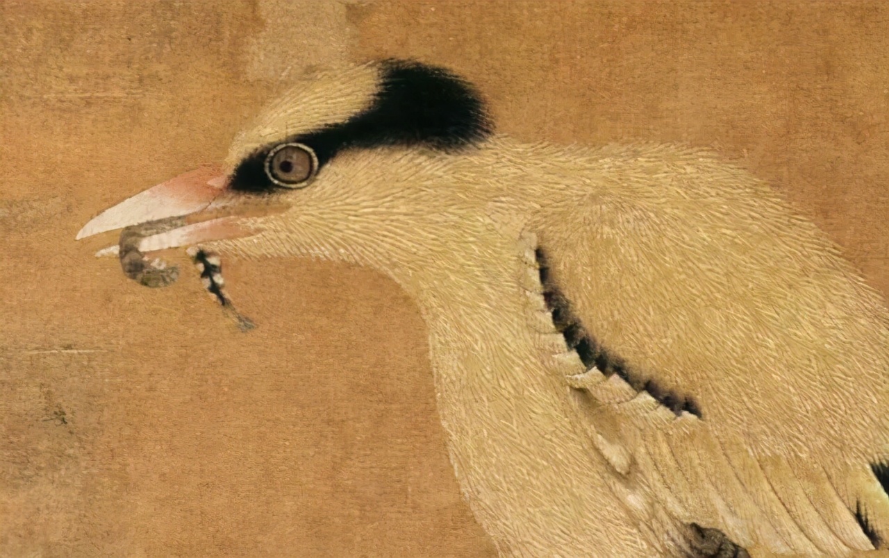 宋画大系花鸟卷,宋画花鸟卷