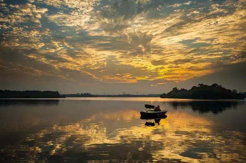 鑻忓窞鐪嬫ū鑺辩殑閰掑簵,鑻忓窞鐪嬫ū鑺变綇鍝釜閰掑簵