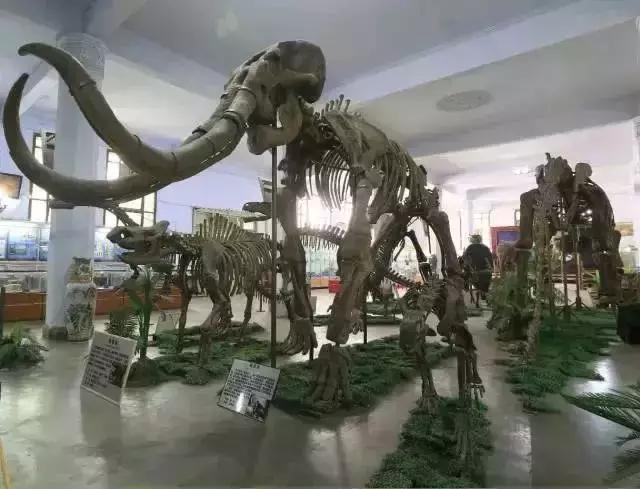 全国十大奇葩高校,奇葩高校盘点