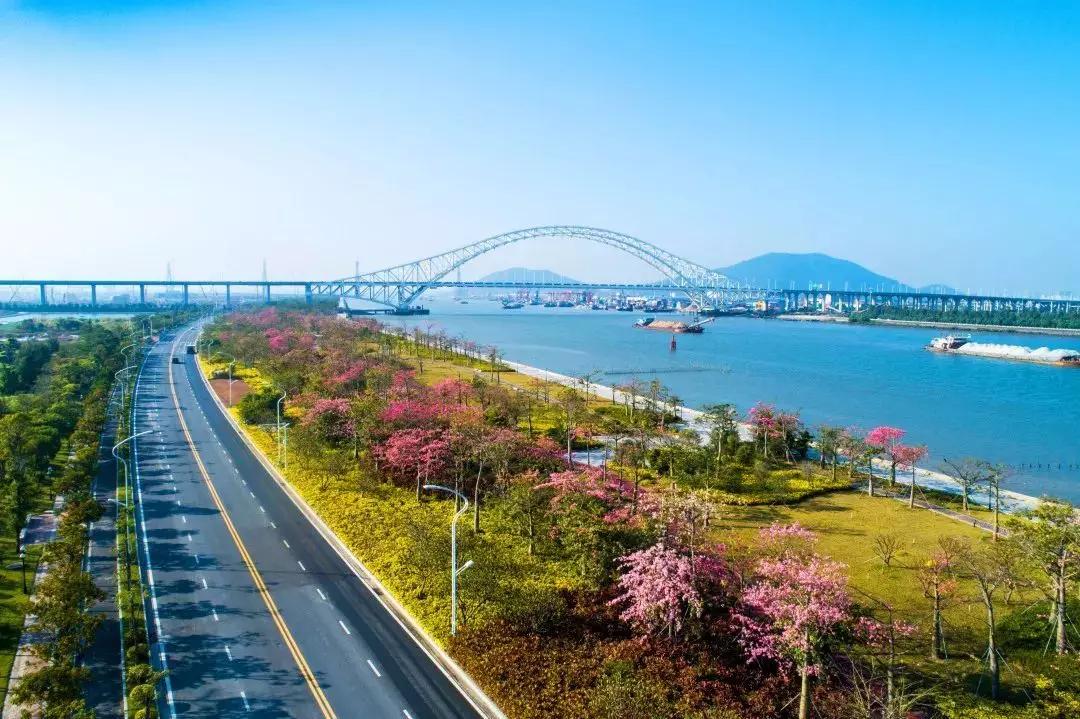 2020美到窒息！珠海的冬天，美炸了