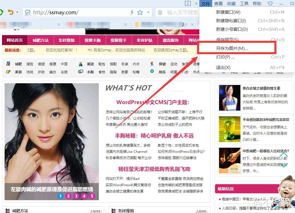 wp主题制作教程,wordpress本地配置主题布局