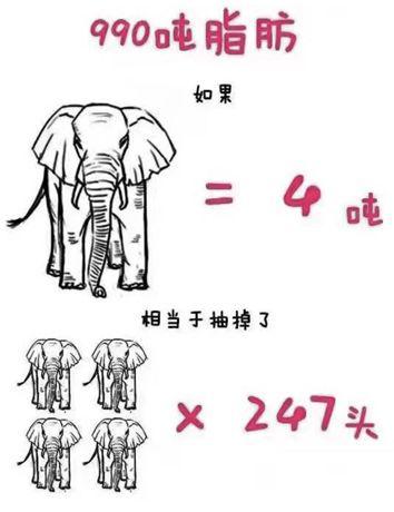 瘦的代价是什么,抽脂代价