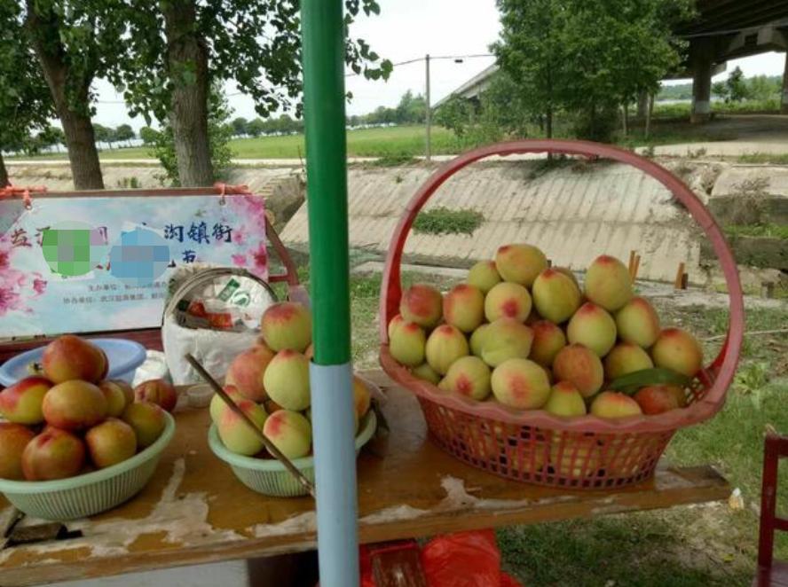 武汉东西湖蔡甸汉南,武汉知名农产品