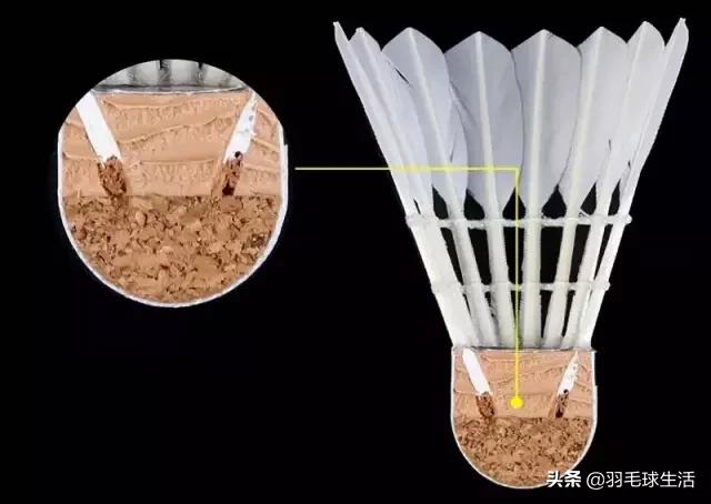 羽毛球初学者实战实用战术和技巧,羽毛球拍选购要注意哪些问题