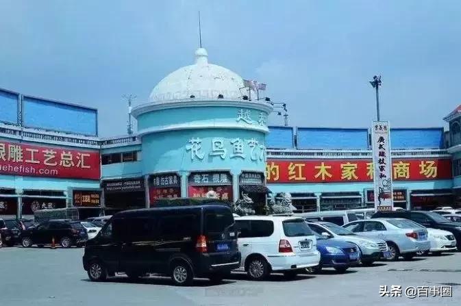 住在芳村的广州人,住在佛山的广州人