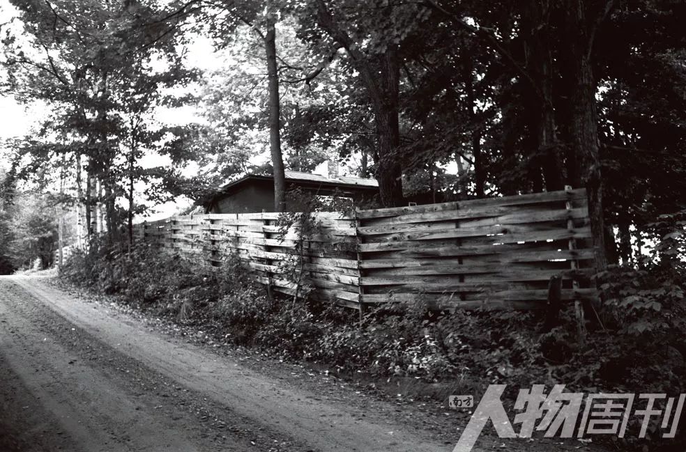 百年塞林格　一半清醒，一半执着|封面人物