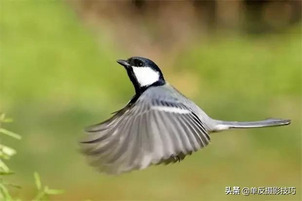 比较好的长焦镜头,关于摄影必须知道的