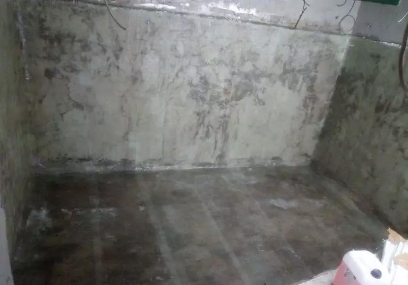 自己做大型水陆缸,在家自己打造一个沙漠缸