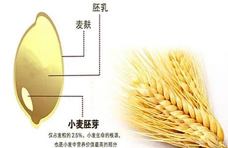 低筋面粉烘焙什么,烘焙低筋面粉和普通低筋面粉区别