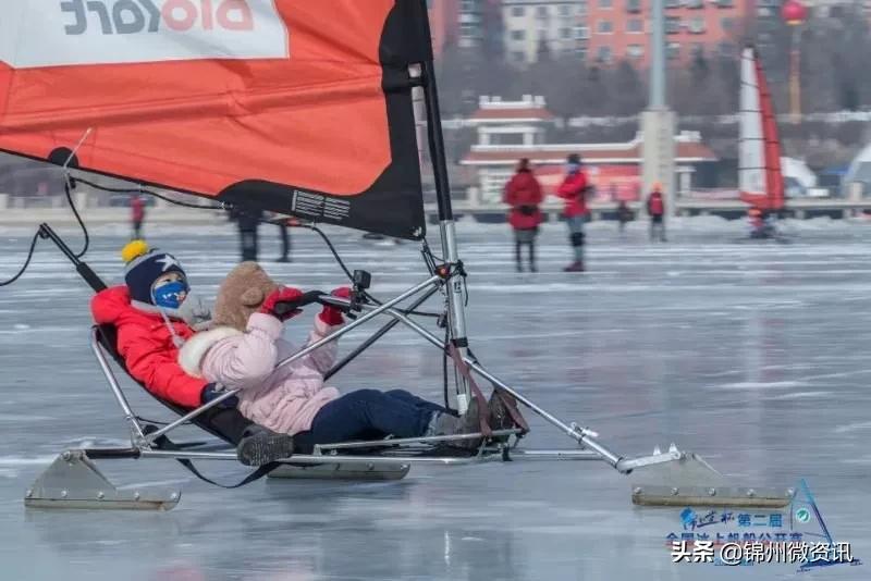 锦州东湖公园最新活动,锦州好消息