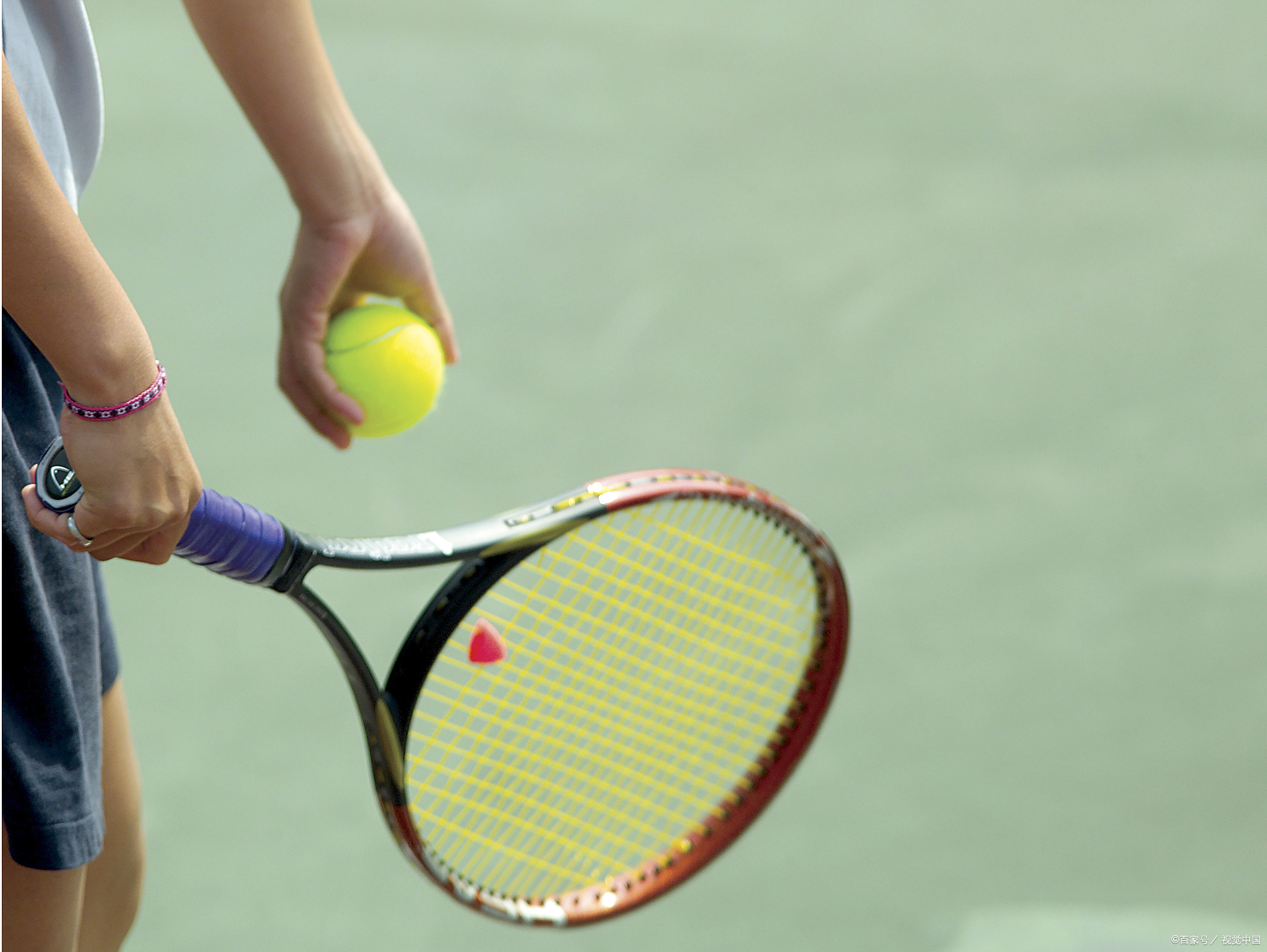 狗狗不便秘但大便困难怎么办,狗狗便秘的小窍门教你一招