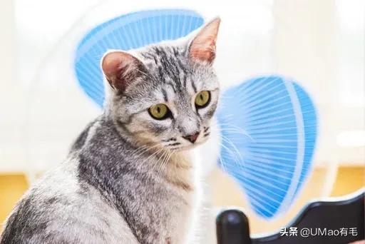 做好这几点远离呼吸道疾病,做好这八点让你轻松管理