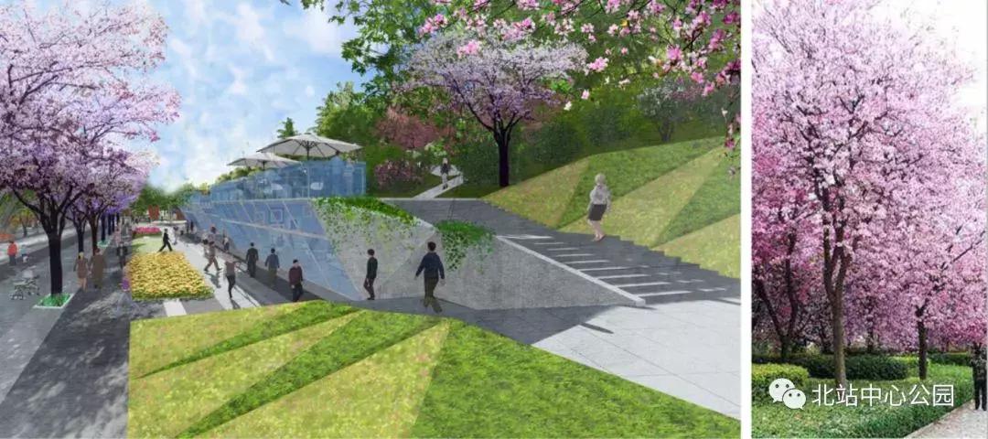 深圳建最大足球场,深圳足球公园效果图