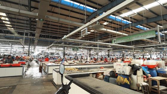 有了这座小县城，封海也封不住浙江人吃海鲜的嘴