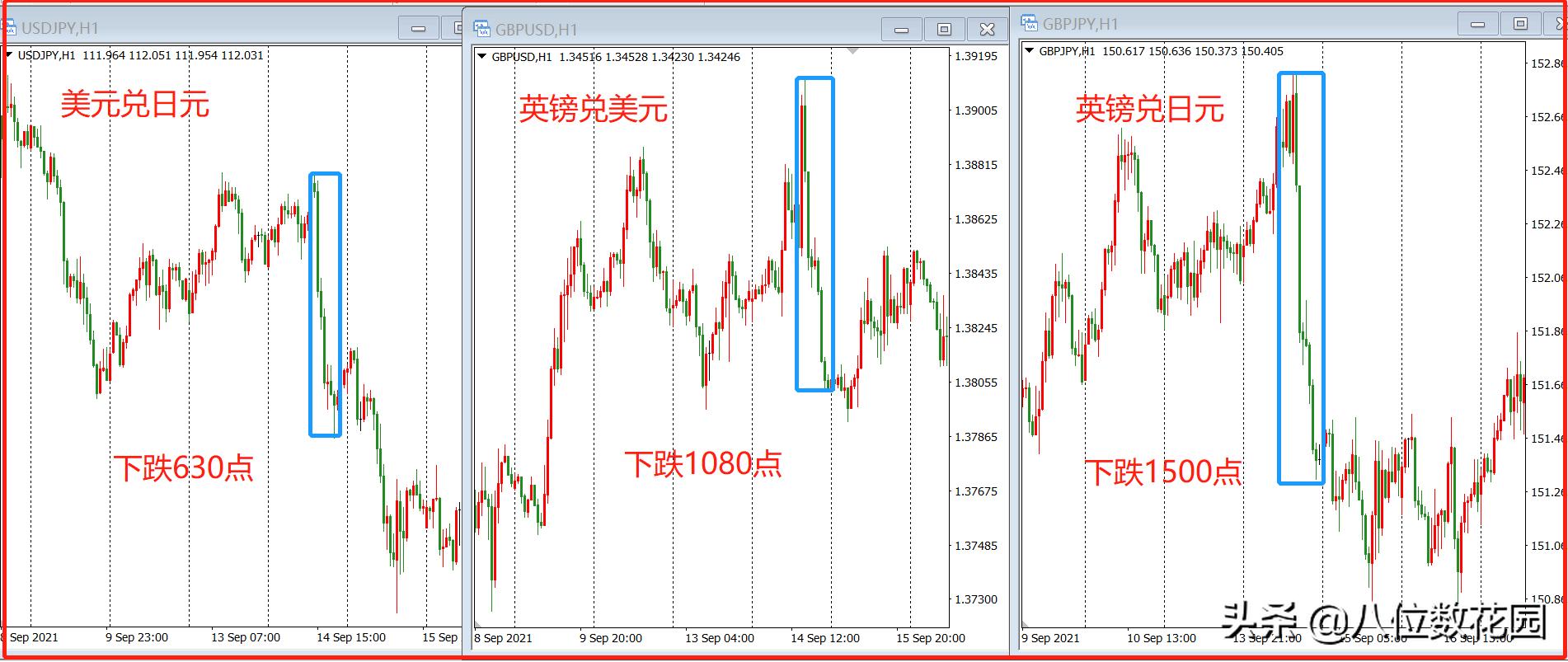 最快外汇交易品种,外汇五大品种热门排行