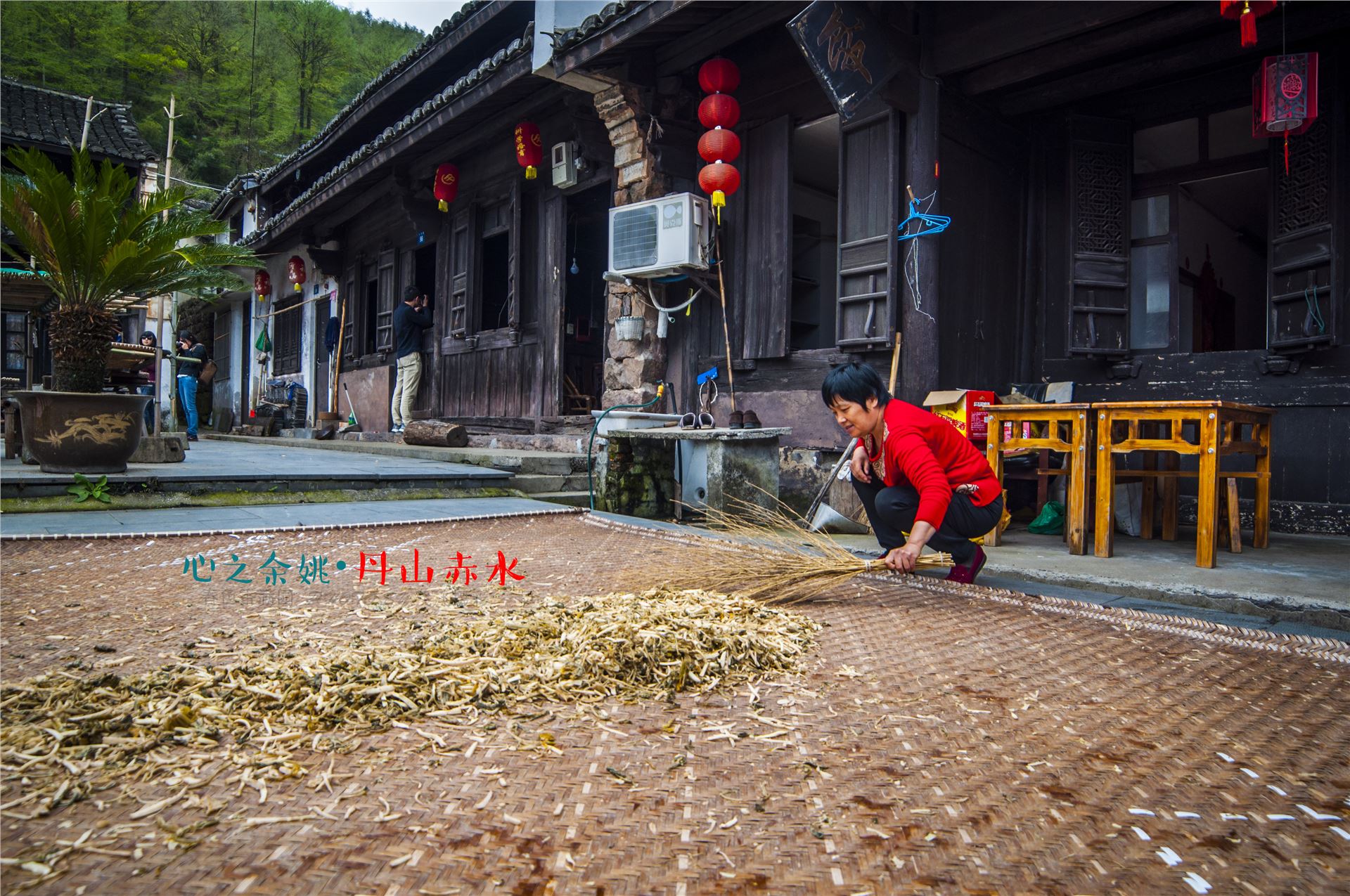 丹山赤水的老柿林景区,丹山赤水柿林古村