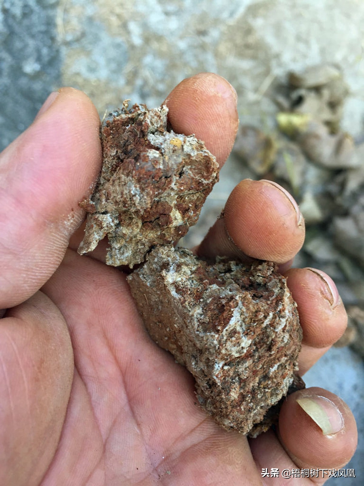 一个盗墓者的自述解说,一位盗墓者的自述实体书