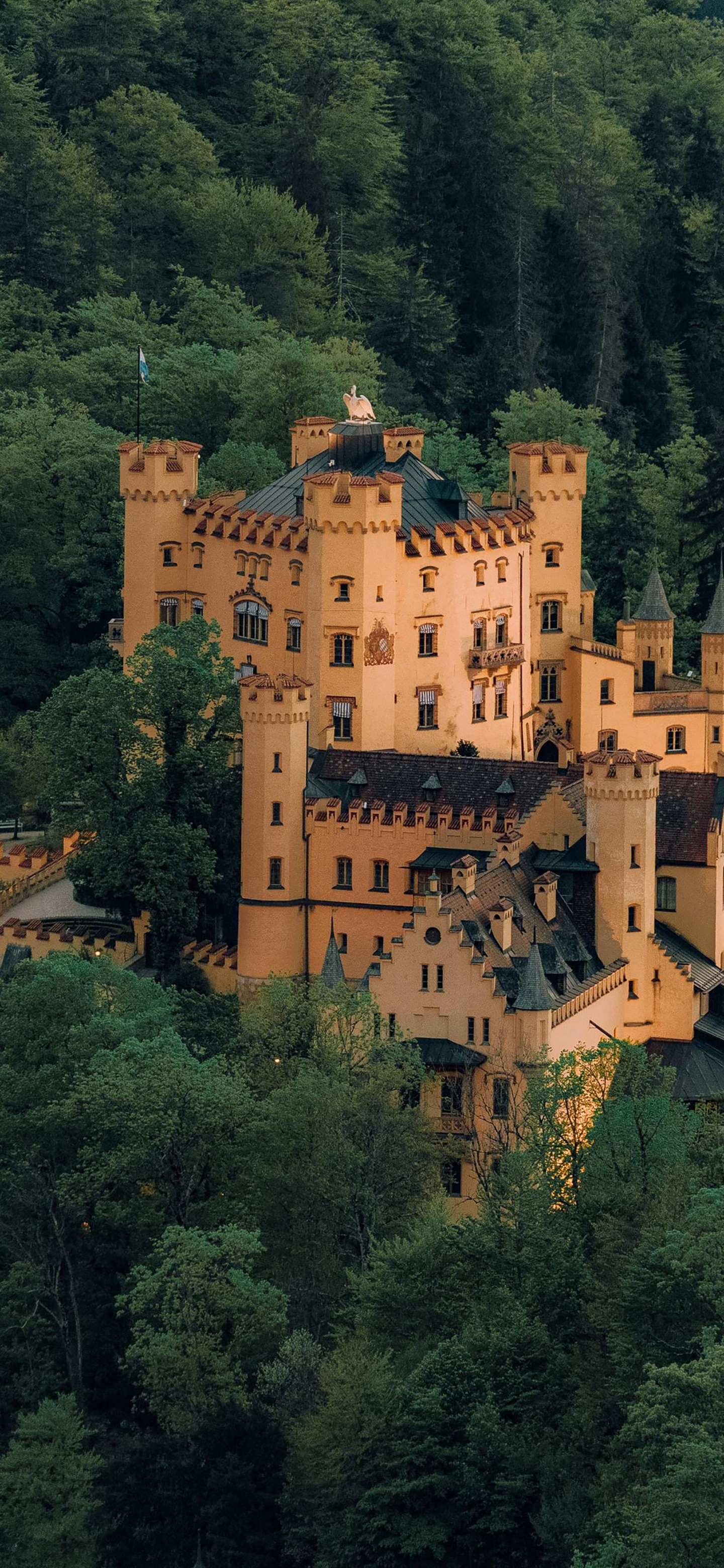 最清爽的风景图片高清壁纸,绿色清新风景高清壁纸