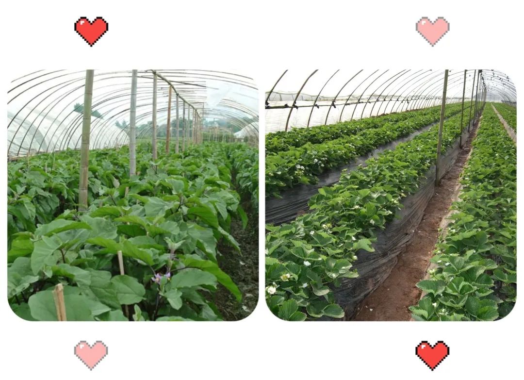 湖南山谷民宿推荐,竹林民宿推荐