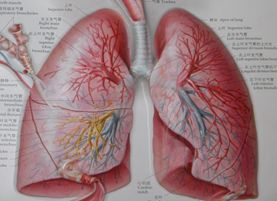 鼻腔发声的训练,矫正喉发声训练