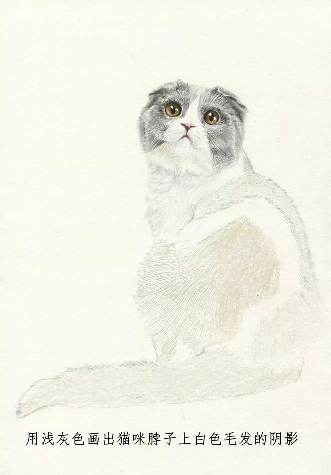 素描动物入门知识,素描动物简单入门教程狗