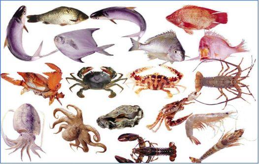 大学最冷门偏冷专业,被冷门专业录取了