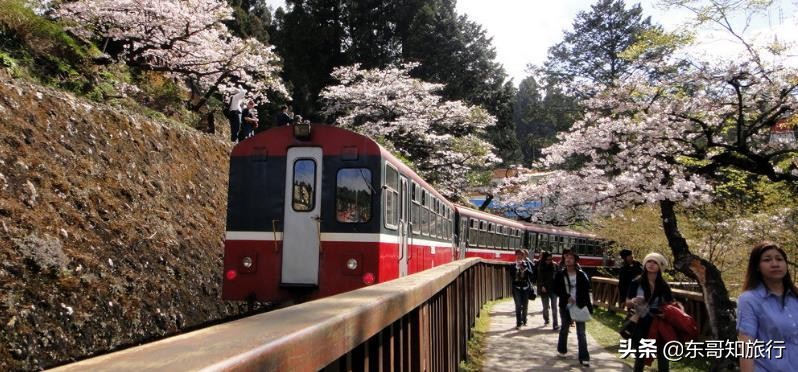 去台湾旅游会有什么感受,去台湾为什么要去厦门旅游