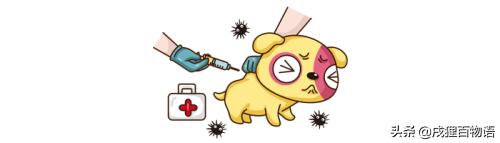 不同品牌的疫苗可以混打么,犬疫苗不同品牌可以混打吗