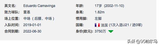 卡马文加法甲抢断王,足球十大神锋卡马文加