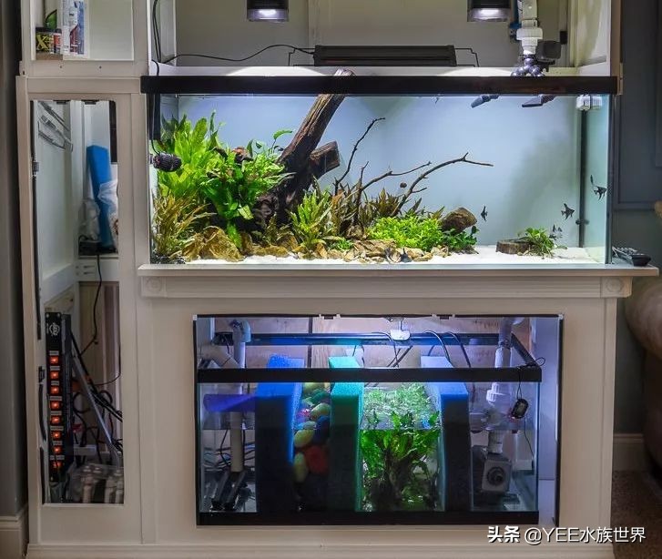 鱼缸放几种滤材最合适,鱼缸滤材有必要放那么多种吗